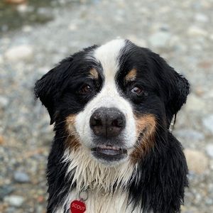 Meet your Posher, Travis